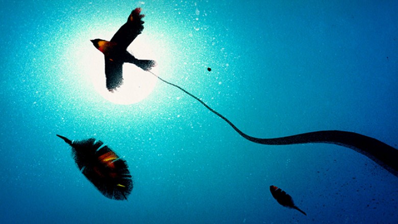 photography:
courtesy of GKIDS