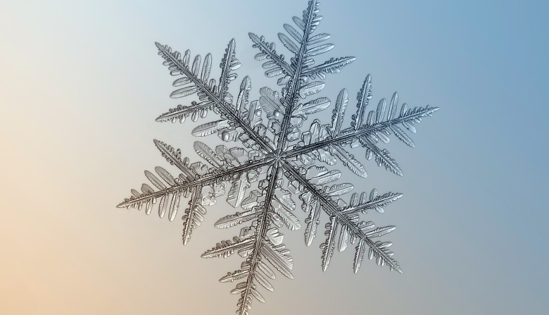 Dendrite Snowflake
