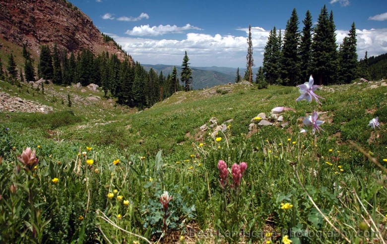 My beloved backcountry