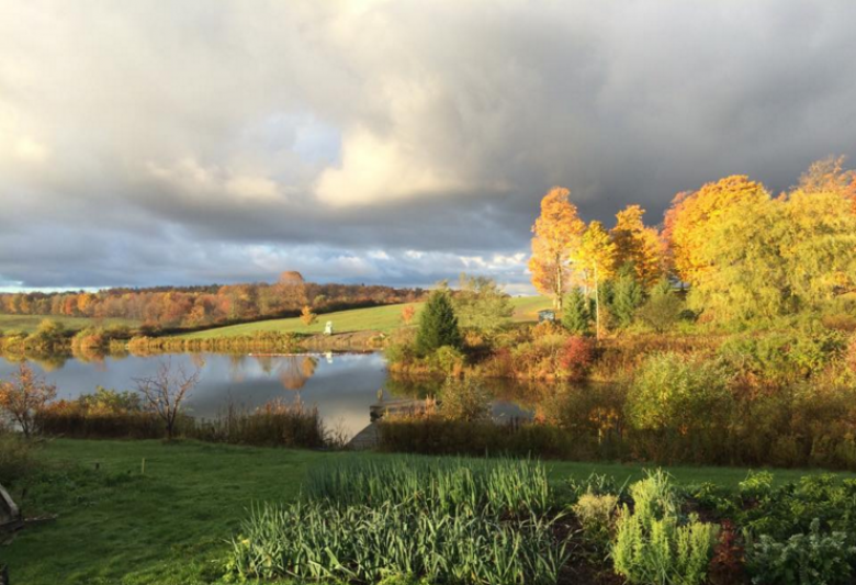 The Heron, Sherman, NY