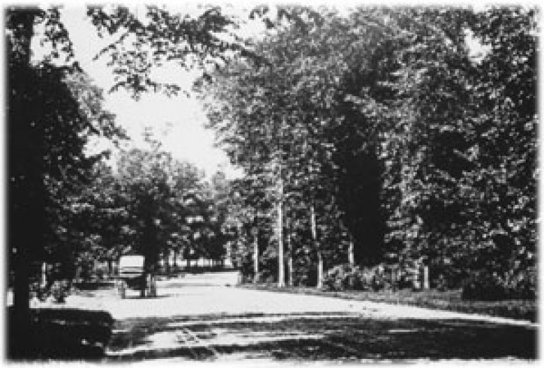 Humboldt Parkway when it was still a parkway, connecting two parks.