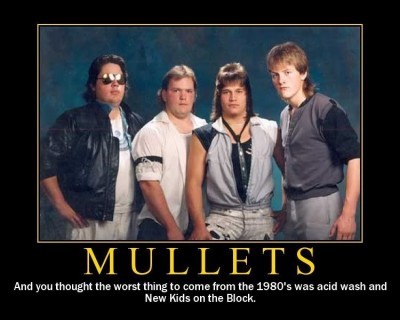 Team Mullet