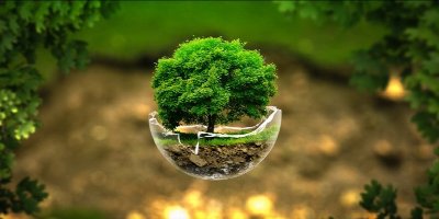 Bringing Earth Day Home