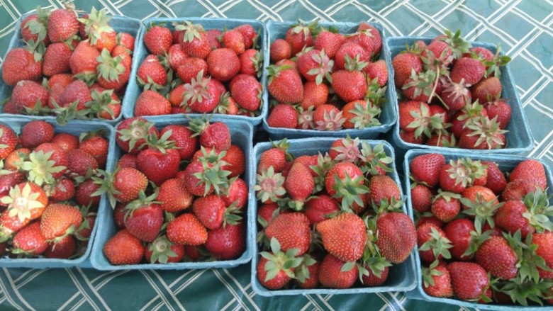 Fresh local berries