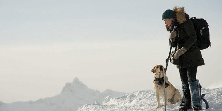 photography:
courtesy of TIFF