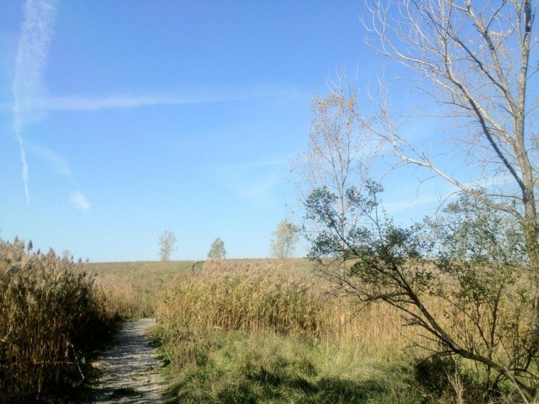 Tifft Nature Preserve