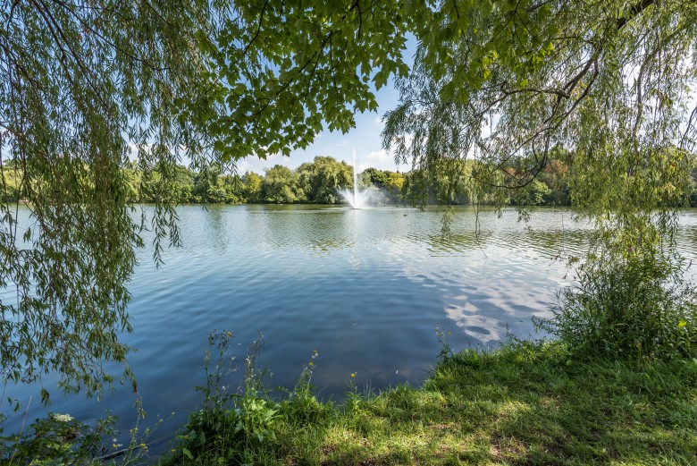 Buffalo's Park System: Hoyt Lake