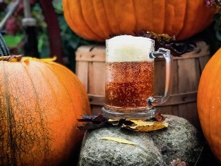 The History of Pumpkin Beer and 10 WNY Brews to Try