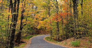 Free Things to Do in Buffalo