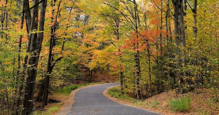 Free Things to Do in Buffalo