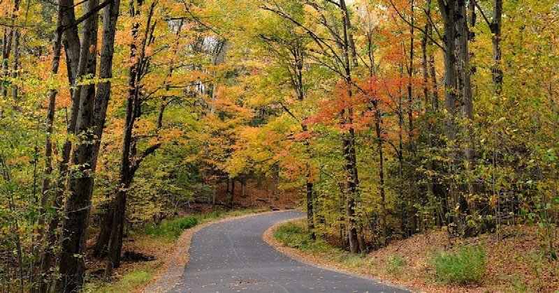 Free Things to Do in Buffalo