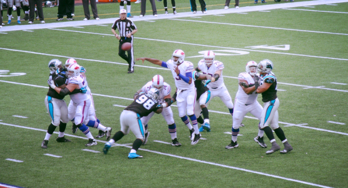 NFL 2014 Season Preview