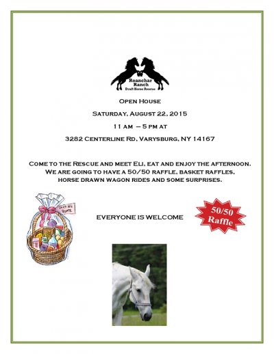 Roanchar Ranch Draft Horse Rescue Open House