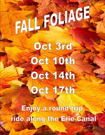 Fall Foliage Train Ride