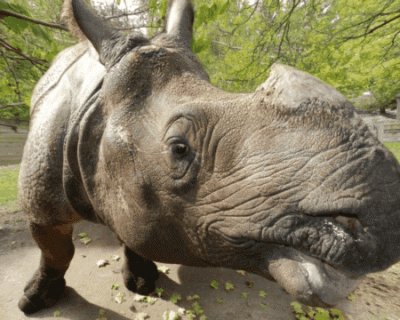 Buffalo Zoo - Wild About Wellness Fair — Aug 15, 2015