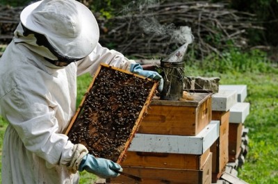 Beekeeping Lecture by Dr. Reed Johnson