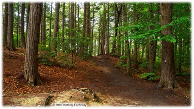 Fall Season FREE Guided Erie County Park Walks