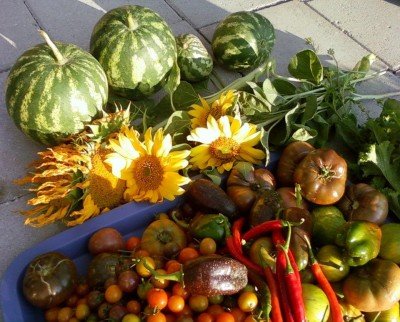 Community gARTening: An Event to Celebrate Community Gardens and Art