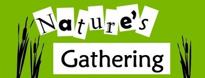 Nature’s Gathering: An Evening of Art, Wine, Craft Beer and Cheese