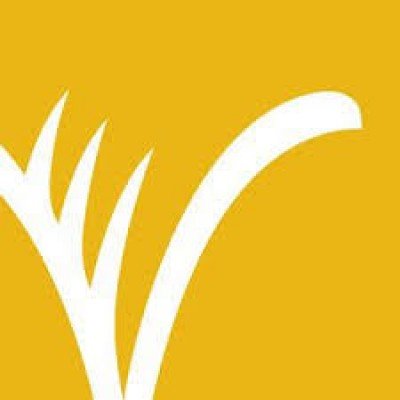 Second Friday at the Burchfield Penny