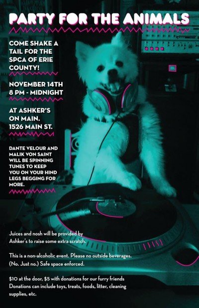 Party For The Animals: A Dance Party For The SPCA
