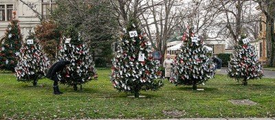 Hospice Light-a-Life Memorial Tree Lighting Ceremony