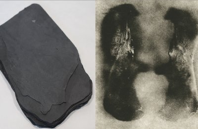 Log Lines Exhibit Opening Reception