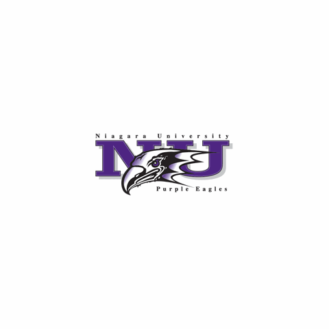 Niagara University Purple Eagles Men's Hockey vs. R.I.T. Mens Hockey
