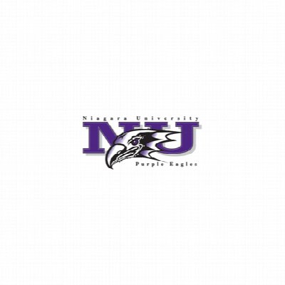 Niagara University Purple Eagles Men's Basketball vs. Marist College Red Foxes Mens Basketball at Niagara University Niagara Falls, NY 14303 — Feb 18, 2016