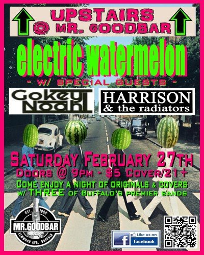 Electric Watermelon w/ special guests, Harrison & the Radiators and Noah Gokey @ Mr Goodbar! — Feb 27, 2016