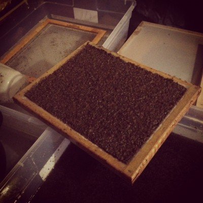 DECKLE BOX PAPERMAKING