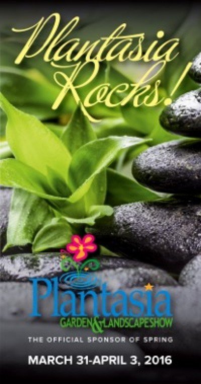 Plantasia Rocks