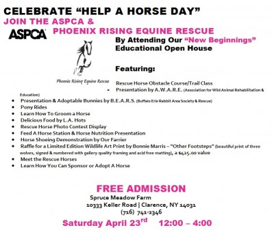 HELP A HORSE DAY