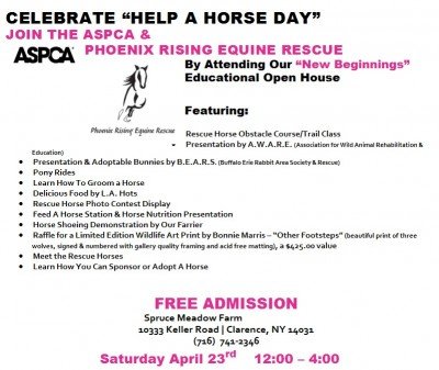 HELP A HORSE DAY