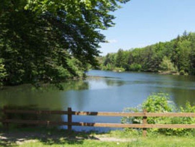 "Be Active!" Free, Guided Walks in the Erie County Parks — Jun 25, 2016