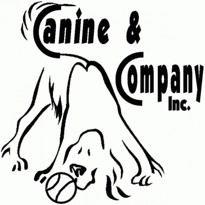 Dogs 'n Suds