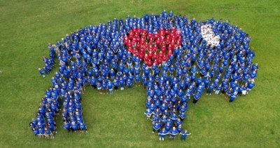 Human Buffalove  #3 at Canalside Buffalo — Jun 26, 2016