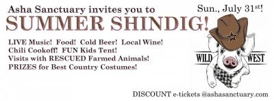 Summer Shindig at Asha Sanctuary