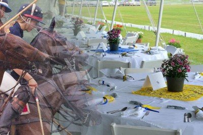 The Stables at Knox: Polo and Champagne Brunch — Jul 23, 2016