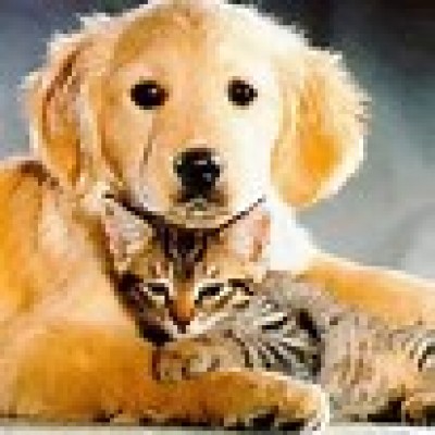 "Labor"of Love Pet Expo