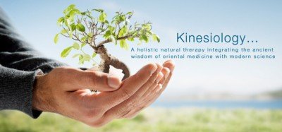 Learn to Muscle Test - Basic Kinesiology Workshop