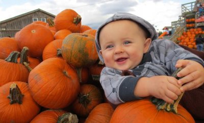 Great Pumpkin Farm