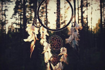 Farm to Table Autumnal Dreamcatchers