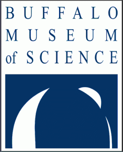 Worldly Wednesdays: Dia de los muertos