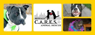 Buffalo Cares Adoption Event