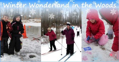 Winter Wonderland in the Woods