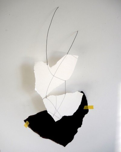 Opening Reception: Colleen Buzzard, Entangled