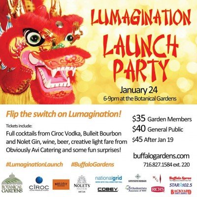 Lumagination Launch Party