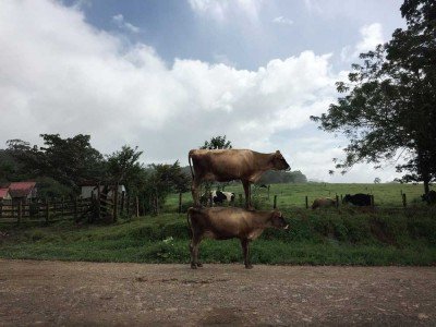 2017 CEPA Members' Exhibition