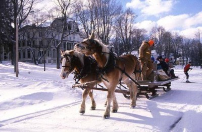 Sleigh Rides